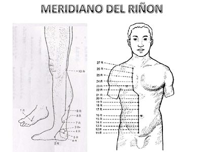 Meridiano-rinon